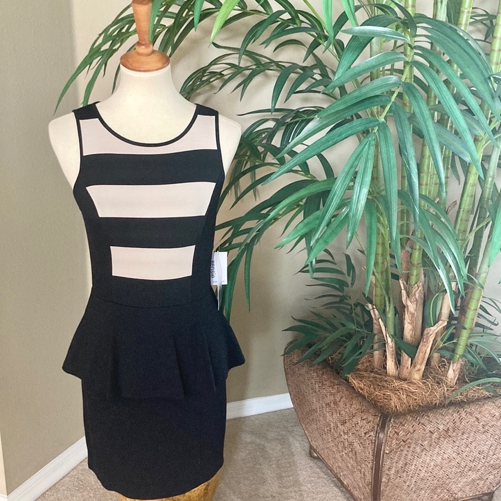 NWT Kenzie Striped Peplum Dress
